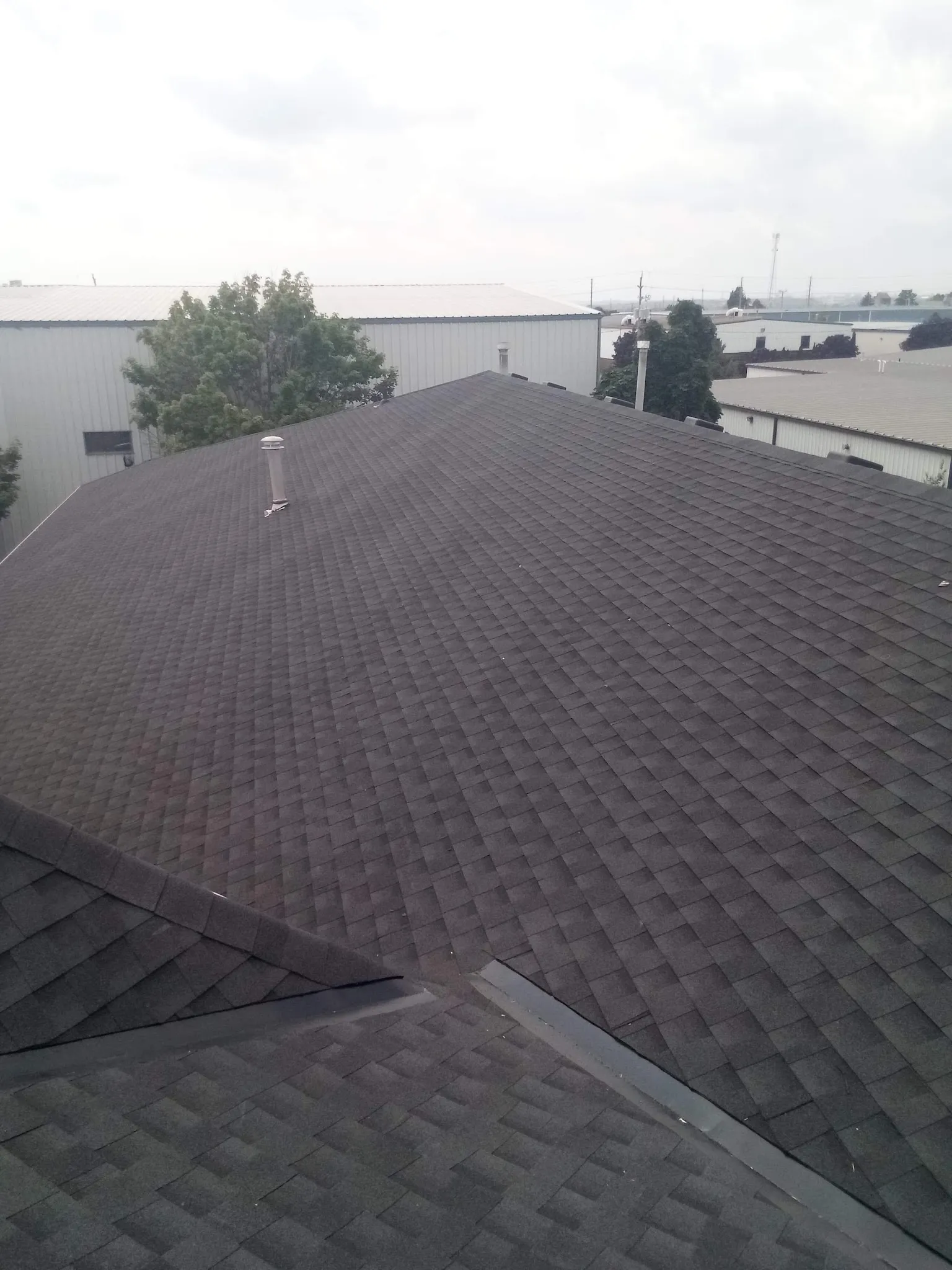 Finished dark shingle roof